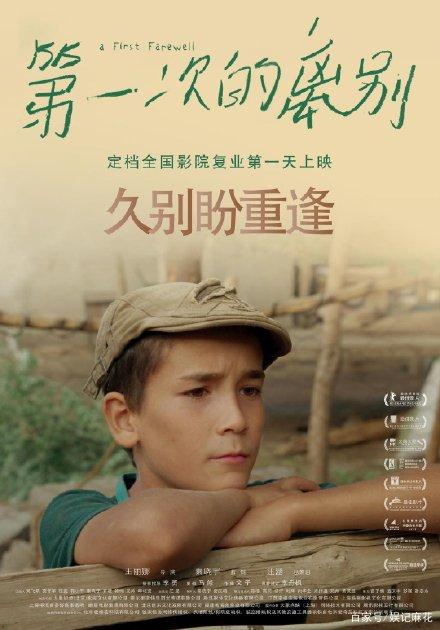 爱尔兰驾驶执照怎么购买